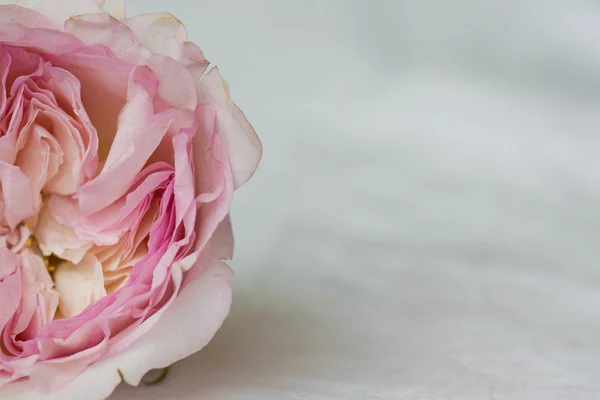 Růžová květinová dekorace — Stock fotografie