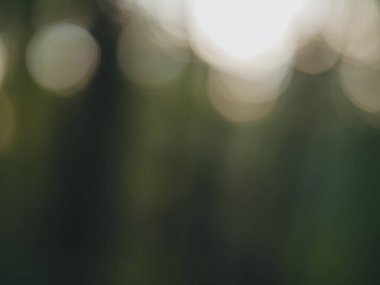 Soyut bokeh arkaplanı, metin için boşluk