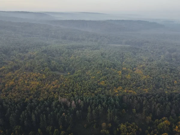 Aerial view of fall forest. Drone shot.