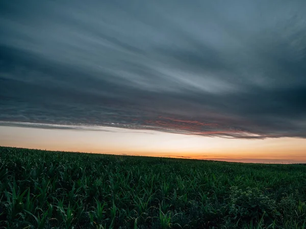 Západ Slunce Nad Pšeničnými Poli Zemědělská Krajina — Stock fotografie