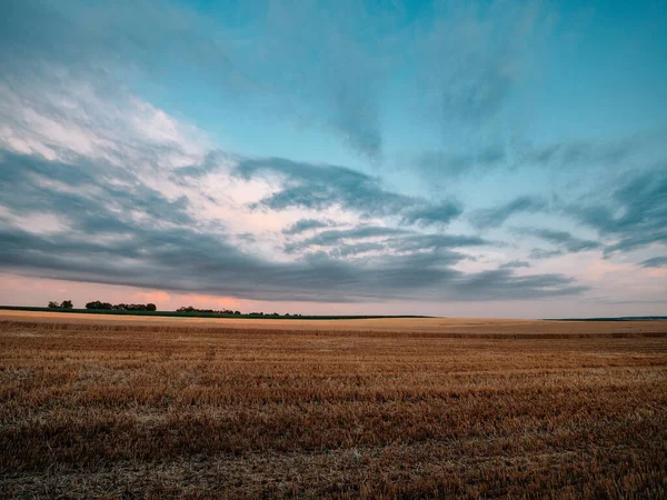 Por Sol Sobre Campo Trigo Paisagem Agrícola — Fotografia de Stock