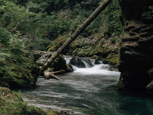 Wild River Alps Gorge Slovenia — Stock Photo, Image