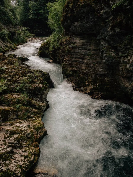 Wild River Alps Gorge Slovenia — Stock Photo, Image