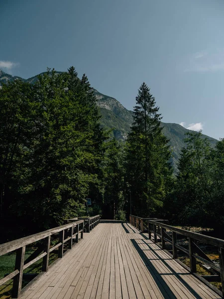 Dřevěný Most Jezera Bohinj Řece Savici — Stock fotografie