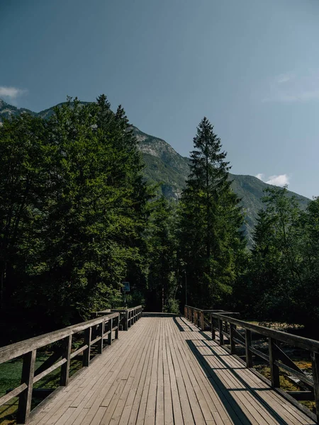 Ponte Madeira Lago Bohinj Rio Savica — Fotografia de Stock