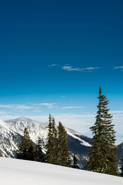 Winter landscape — Stock Photo, Image