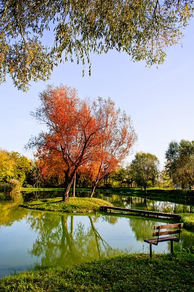 Sentiero a piedi e panchina del parco che si affaccia su un lago in un giorno di sole in autunno — Foto Stock