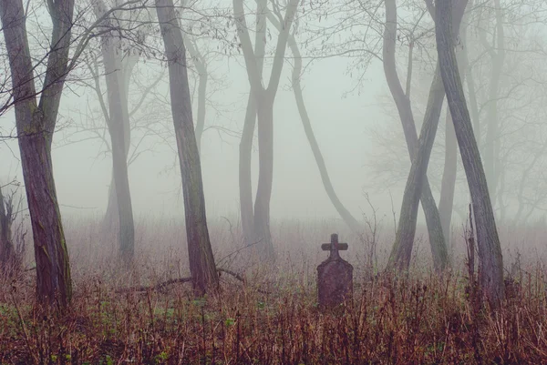 Cimitero spettrale nella foresta — Foto Stock