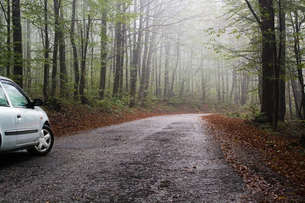 Voiture sur une route dans la forêt en automne — Photo