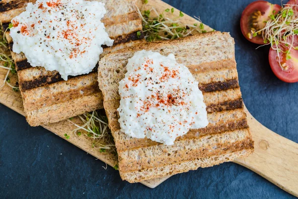 Toast with cottage cheese — Stock Photo, Image