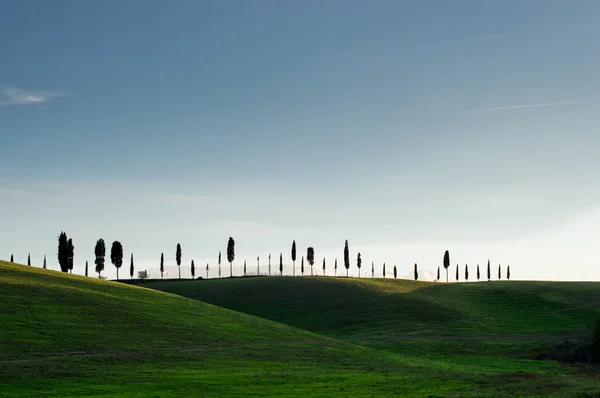 Landscape of Tuscany — Stock Photo, Image