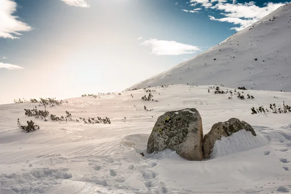 Paesaggio invernale — Foto Stock