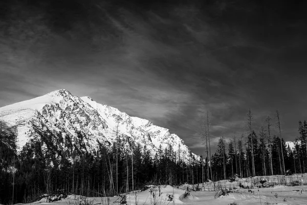 Fine art black and white mountain landscape — Stock Photo, Image