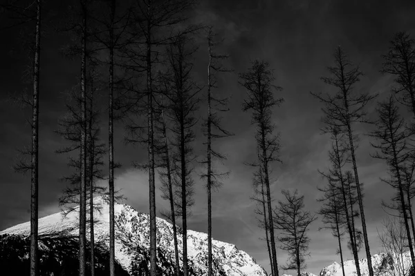 Fine art black and white mountain landscape — Stock Photo, Image