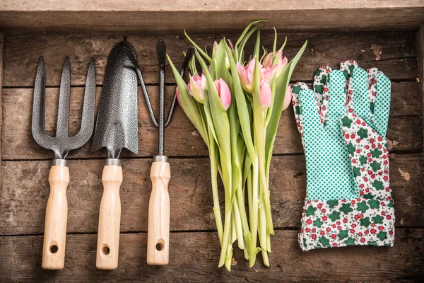 Attrezzi da giardino e fiori — Foto Stock