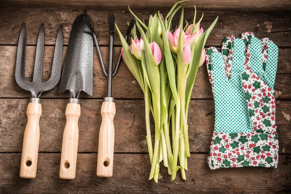 Flower and Garden tools — Stock Photo, Image