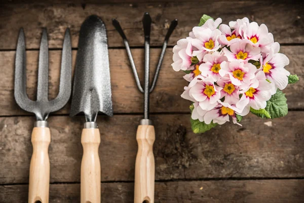 花和花园工具 — 图库照片