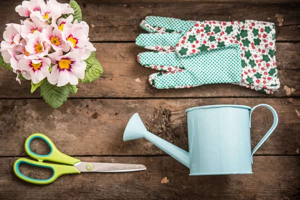 Flower and Garden tools — Stock Photo, Image