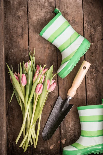 Flower and Garden tools — Stock Photo, Image