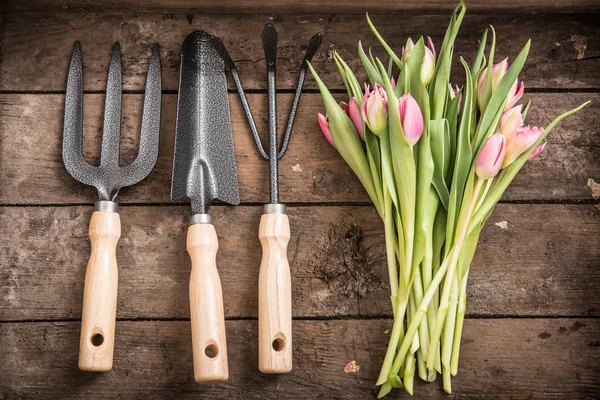 Blumen und Gartengeräte — Stockfoto