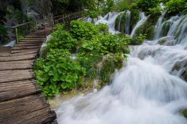 Plitvice Gölleri Nationa Park, Hırvatistan, şelale
