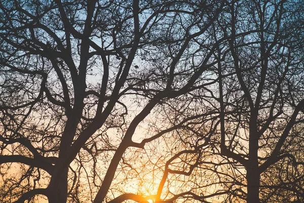 Magische zonsondergang — Stockfoto