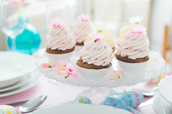 Cupcake — Stockfoto