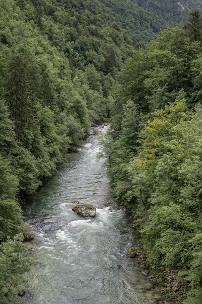 Belle vue sur la rivière de montagne — Photo