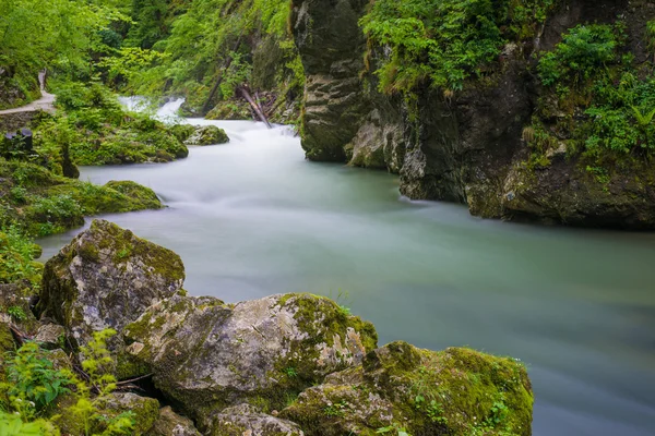 Rio das montanhas — Fotografia de Stock