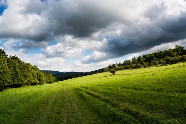 Sommerfeld mit stürmischen Wolken — Stockfoto