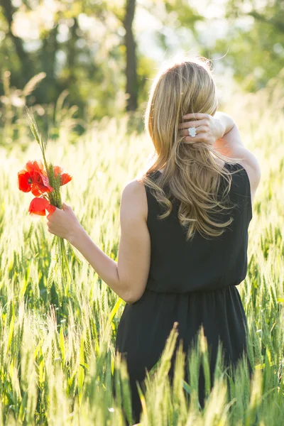 Young beautiful woman harvesting poppy — Stock Photo, Image