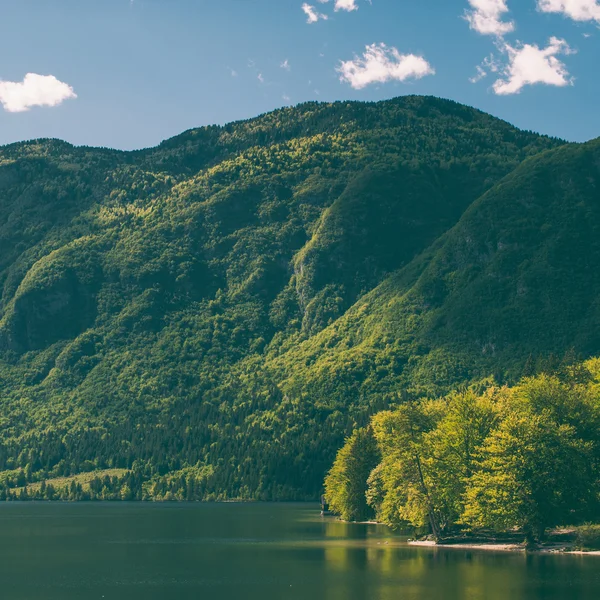 复古的筛选的山风景 — 图库照片