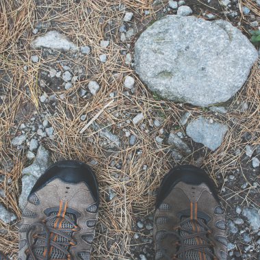 Orman iz Hiking ayakkabıları