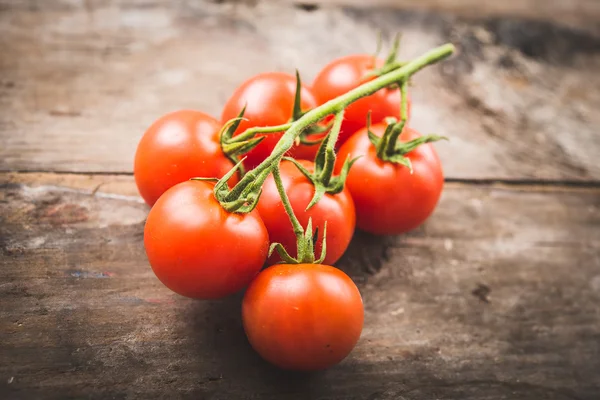 Fresh cherry tomatos — Zdjęcie stockowe