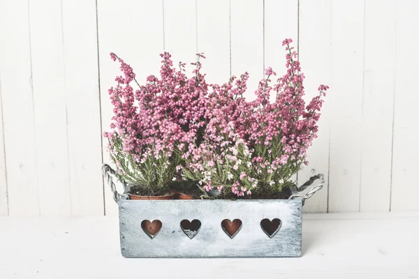 Flower vintage decoration — Stock Photo, Image