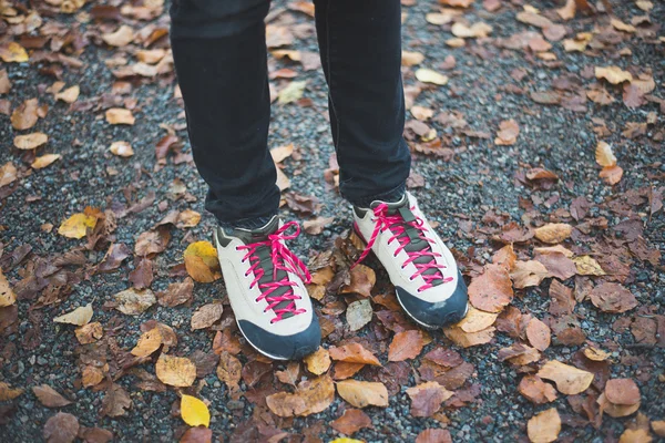 Zapatos de senderismo en el camino —  Fotos de Stock