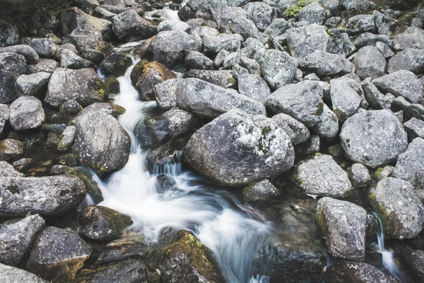 Lesní řeka ve Vysokých Tatrách — Stock fotografie