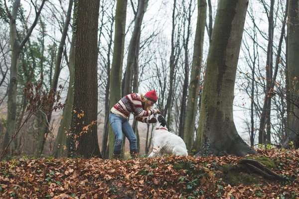 Young woman and her dog — Stock Image Young woman and her dog Royalty Free Stock Images