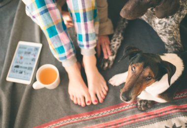 Woman legs and two dogs lying
