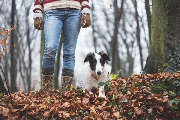 Νεαρή γυναίκα με το σκύλο της στο δάσος — Φωτογραφία Αρχείου