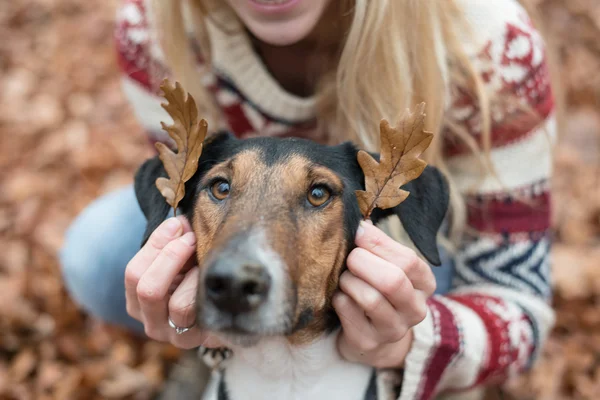 Woman put leaves to cute dog — Zdjęcie stockowe