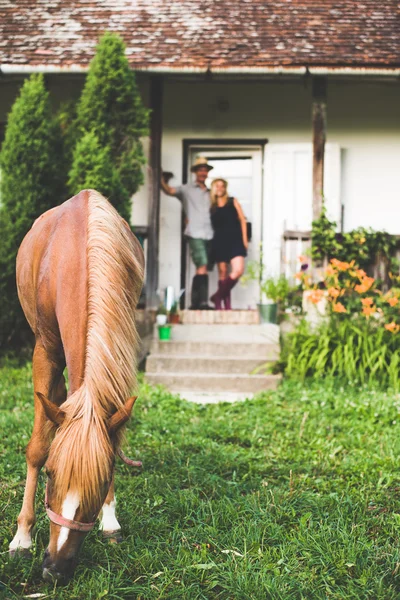 Couple at house with horse — Zdjęcie stockowe