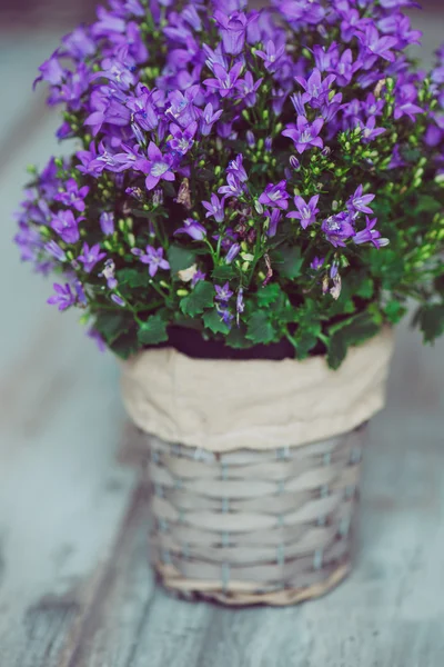 Lila dekoration blomma i blomkruka på vintage träbord, filtrerade bilden — Stockfoto