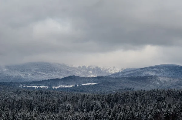 Winter landscape, snow covered forest in front of the mountain range. Stormy clouds. — Stock Photo, Image