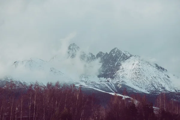 Paisagem de inverno, Tatras altos — Fotografia de Stock