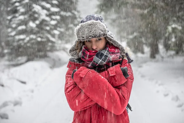 Karla kaplı çam ağaçları kadına — Stok fotoğraf