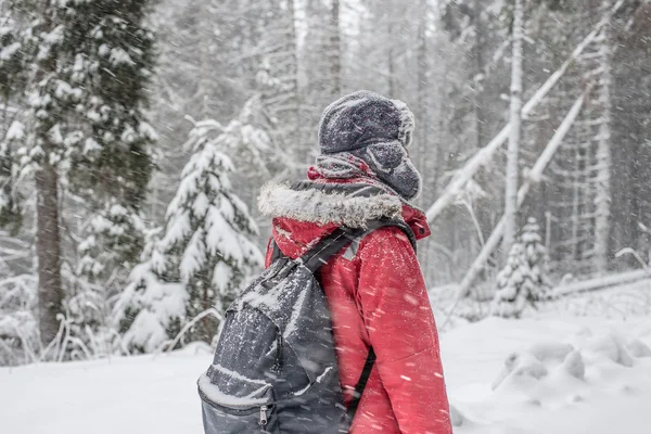 Hermosa mujer senderismo de invierno . — Foto de Stock