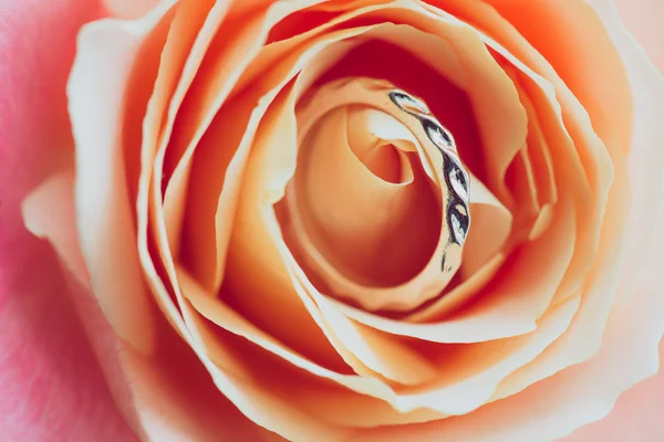 Close up of engagement ring on rose petals — Stock Photo, Image