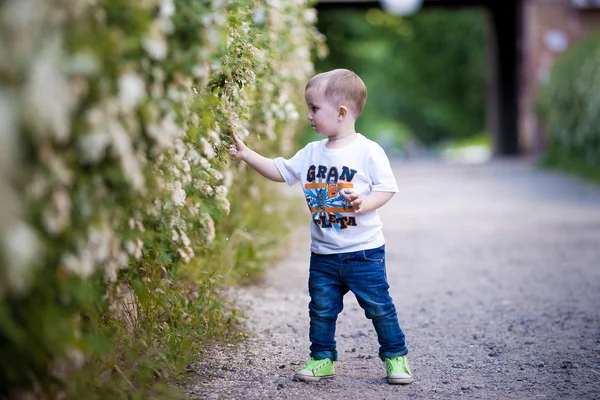 Stylový chlapeček, stojící v parku. — Stock fotografie