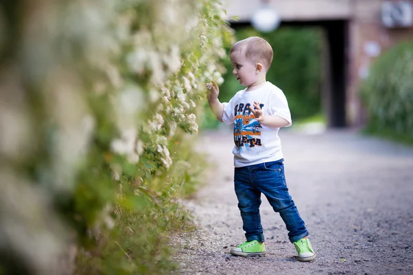 Stylový chlapeček, stojící v parku. — Stock fotografie